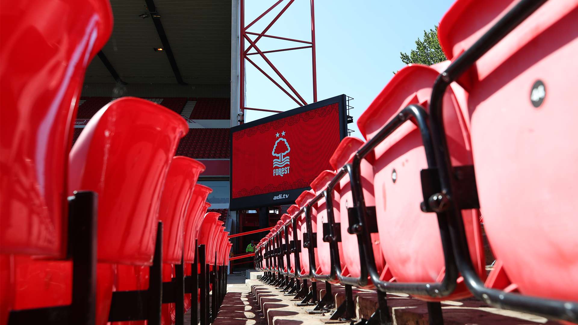 希望能够全 希望能够全